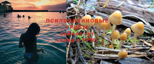 jwh Карталы