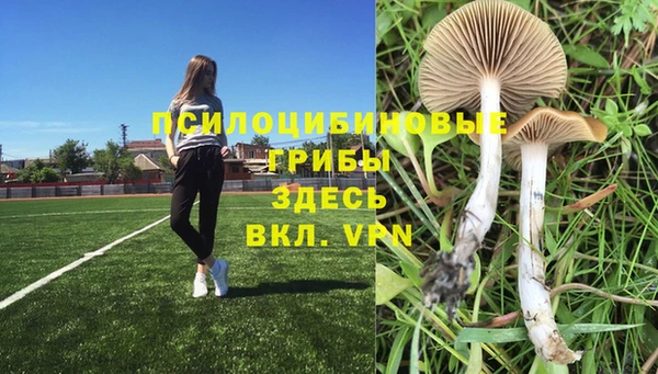 Альфа ПВП Карпинск