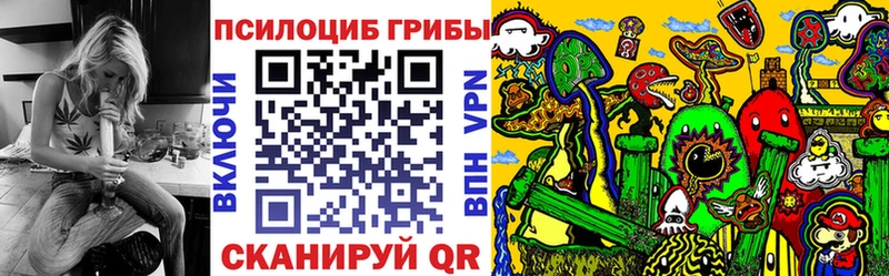 Псилоцибиновые грибы мицелий Купить где Киржач