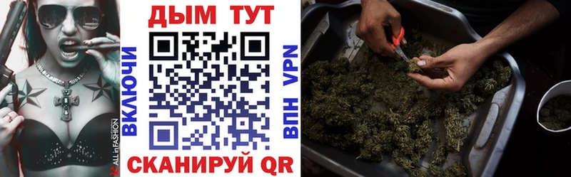 Купить где  Киржач  Бошки марихуана SATIVA & INDICA 